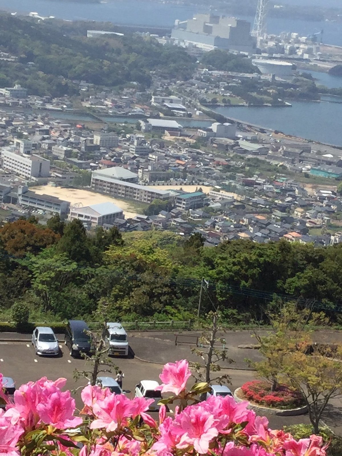 🌳 불로산 종합공원(후로산 소고 코엔) 이미지 4